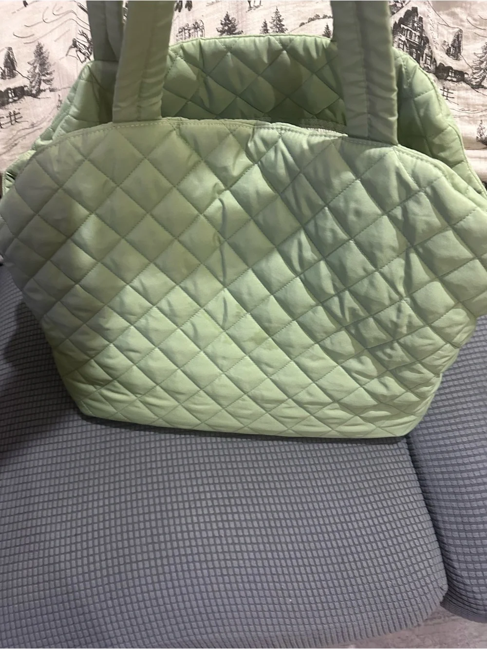 Bed Tote Pet Carrier - Dog Carrier, max 20 lbs, Green